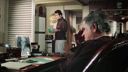 undefined Season 1 Episode 20 - The Four Pound Brick