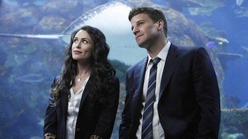 Bones Season 5 Episode 18 - The Predator in the Pool