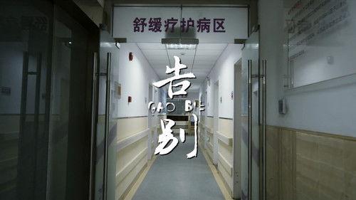 Life Matters Season 1 Episode 4 - Episode 4