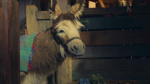 Lovely Little Farm Season 2 Episode 5 - Barn