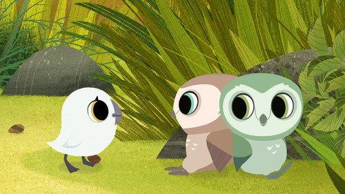 Puffin Rock Season 2 Episode 10 - Find the Owls