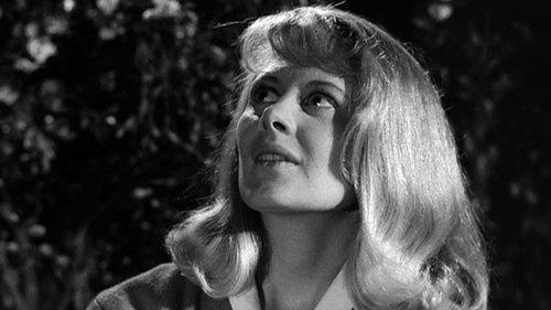 The Fugitive Season 1 Episode 28 - The Homecoming