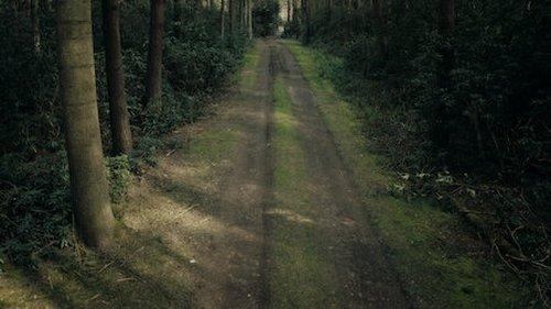 Catching Killers Season 2 Episode 3 - Missing Men (1): The Toronto Village Killer