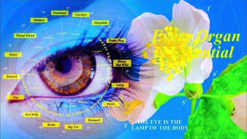 Happy World Daddy Season 1 Episode 7 - Herbal-T