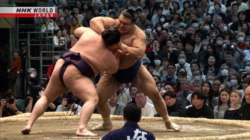 GRAND SUMO Highlights Season 28 Episode 14 - Day 14