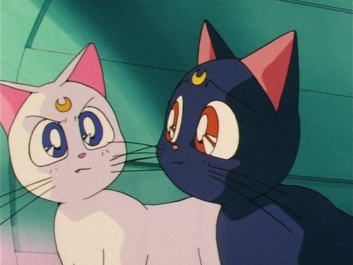 Sailor Moon Season 2 Episode 33 - Dog Day for Artemis