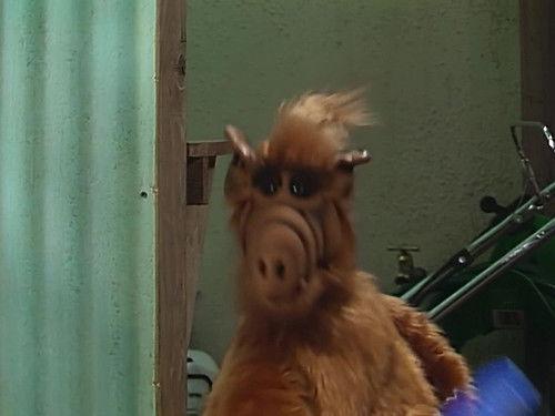 ALF Season 2 Episode 15 - We're So Sorry, Uncle Albert