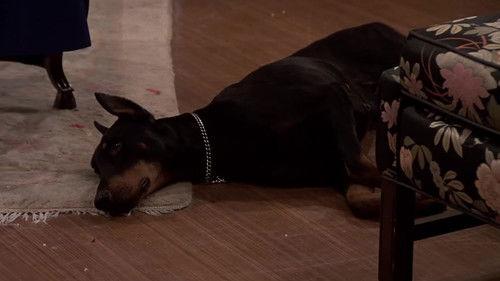 Cheers Season 7 Episode 11 - Adventures in Housesitting