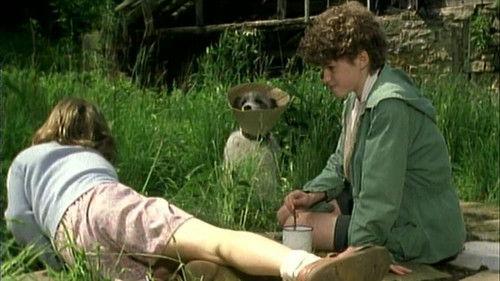 The Famous Five Season 1 Episode 11 - Five on a Secret Trail