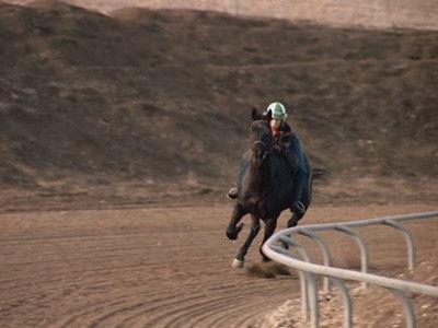 Knight Rider Season 3 Episode 12 - Knight by a Nose