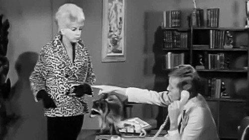 The Beverly Hillbillies Season 2 Episode 7 - Chickadee Returns