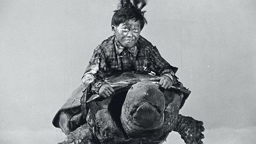 undefined Season 1 Episode 6 - Grow Up! Little Turtle