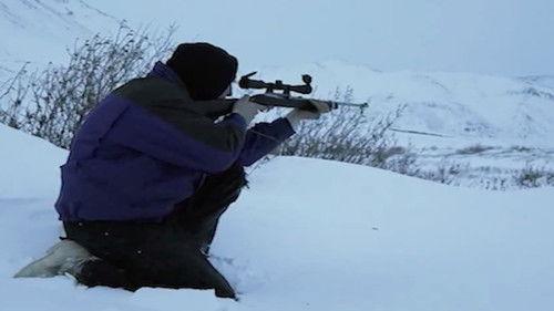 Life Below Zero Season 1 Episode 2 - Hunt, Barter and Steal