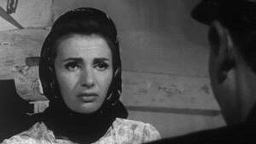 Poly Season 4 Episode 4 - Episode 4