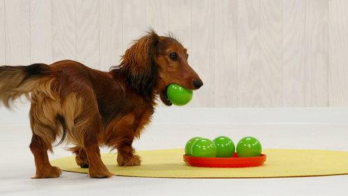 Mini Kids Season 2 Episode 8 - Episode 8