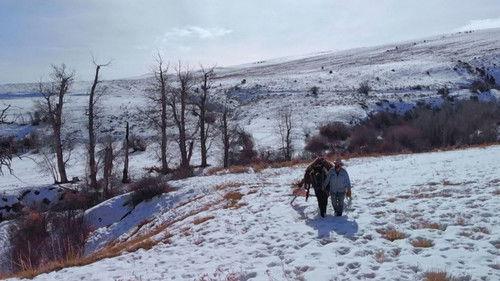 Mountain Men Season 9 Episode 4 - Beasts of Burden