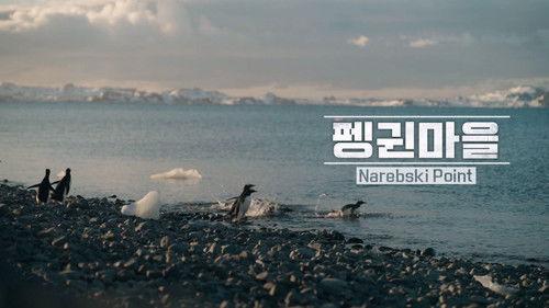 Chef of Antarctica Season 1 Episode 3 - Episode 3