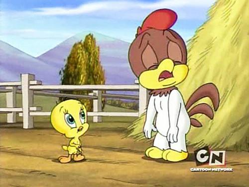 Baby Looney Tunes Season 2 Episode 18 - Cock-A-Doodle-Doo-It!