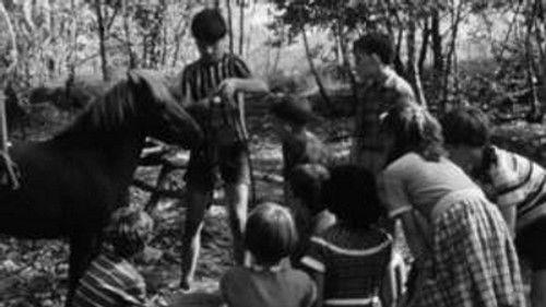 Poly Season 1 Episode 6 - Episode 6