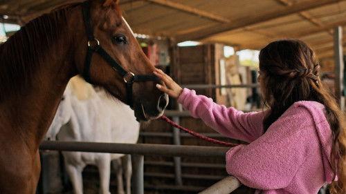 Jo mai mai Season 1 Episode 5 - Horses