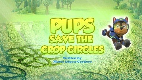 PAW Patrol Season 11 Episode 6 - Pups Save the Crop Circles