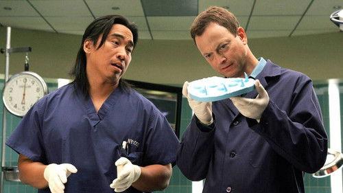 CSI: NY Season 2 Episode 3 - Zoo York