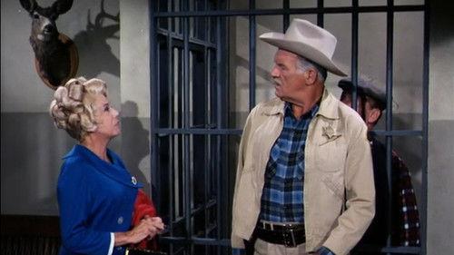 Petticoat Junction Season 4 Episode 20 - Shoplifter at the Shady Rest