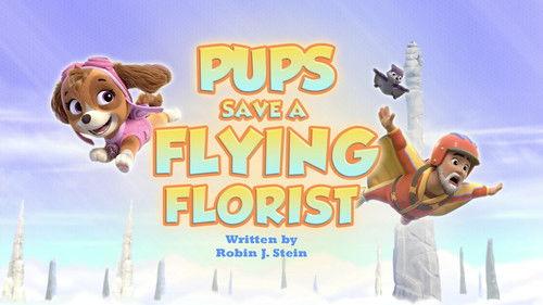 PAW Patrol Season 12 Episode 18 - Pups Save a Flying Florist