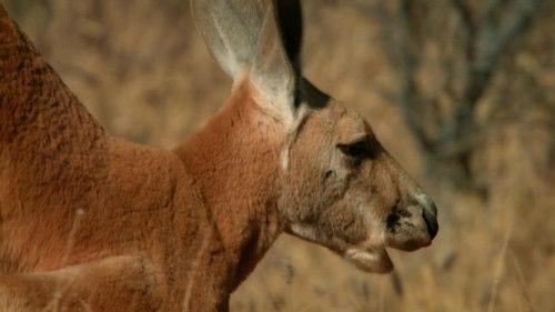 Over Australia Season 1 Episode 1 - Arid Heart