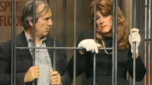 undefined Season 1 Episode 9 - Vigilante