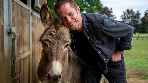 The House Season 7 Episode 6 - Mathias Coppens