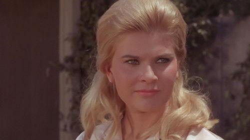 The Virginian Season 5 Episode 6 - The Challenge