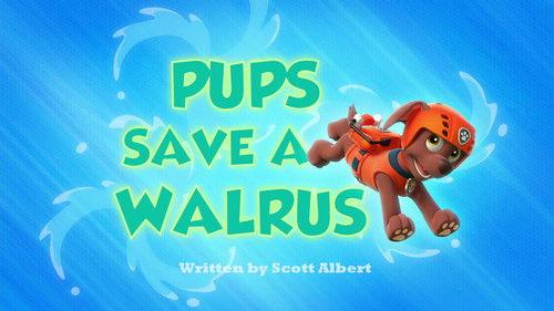 PAW Patrol Season 1 Episode 18 - Pups Save a Walrus
