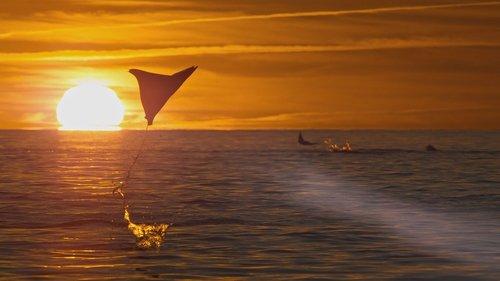 undefined Season 1 Episode 2 - Ocean