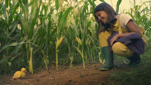 Lovely Little Farm Season 2 Episode 7 - Party