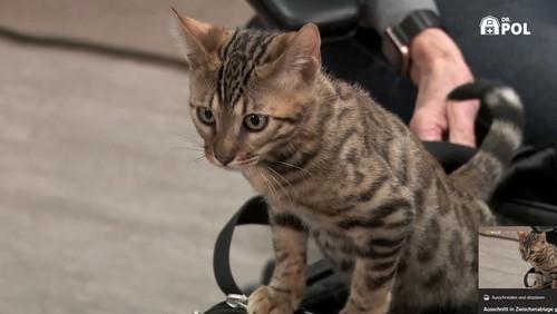 The Incredible Dr. Pol Season 21 Episode 8 - Brrr, It's Friesian!