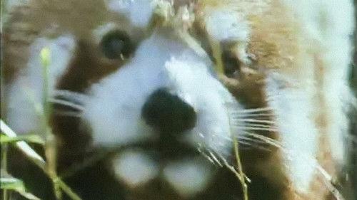 Trials of Life Season 1 Episode 3 - Finding Food