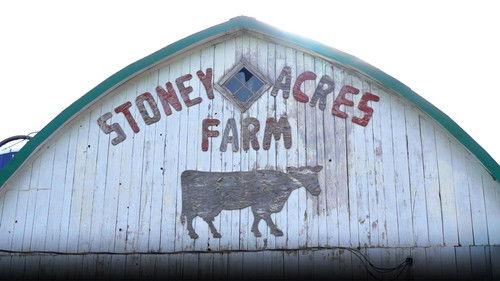Wisconsin Foodie Season 16 Episode 5 - Stoney Acres Pizza Farm, Casimir Gold Maple Syrup, BroKogi