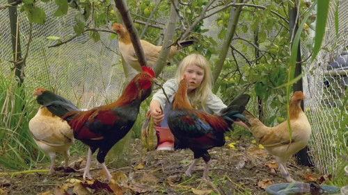 Gardening Australia Season 33 Episode 4 - Episode 4 Winter Planting, Native Plants, Papaya & Seeds