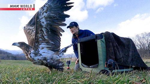 FRONTRUNNERS Season 3 Episode 1 - Wildlife Vet - Saito Keisuke