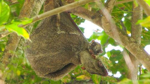 Wild City Season 1 Episode 2 - Hidden World