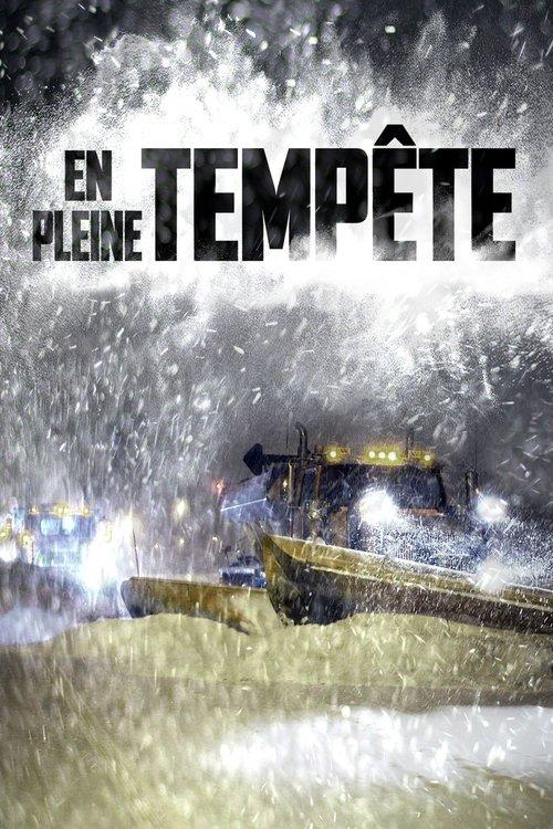 En pleine tempête poster