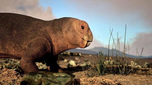 Science grand format Season 10 Episode 6 - Episode 6