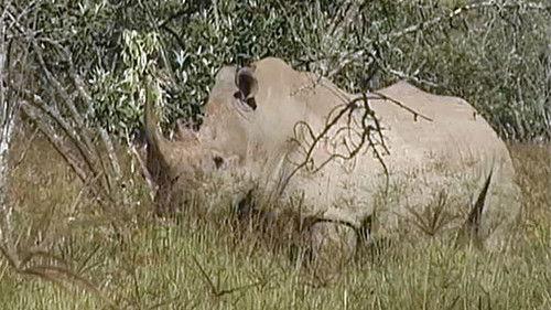 Cestománie Season 4 Episode 16 - Episode 16