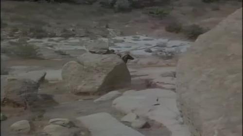 Alias Smith and Jones Season 3 Episode 5 - Bushwack!