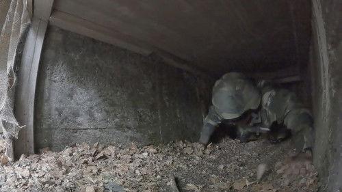 Kompani Svan Season 3 Episode 7 - Episode 7