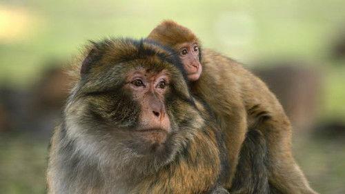 Fierce Queens Season 1 Episode 2 - Faking It