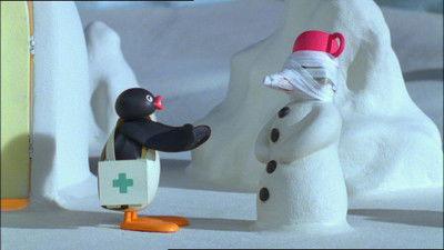 Pingu Season 6 Episode 16 - Pingu Wraps Up