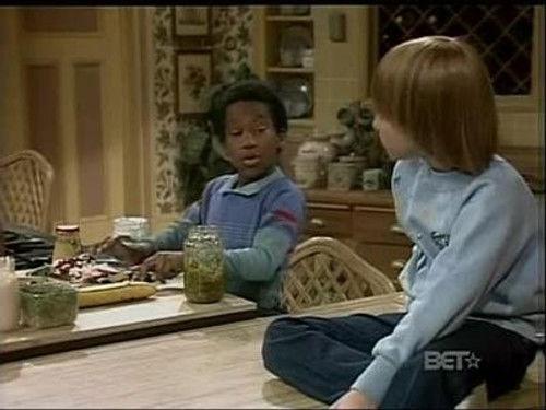 Diff'rent Strokes Season 8 Episode 14 - Sam's Big Brother