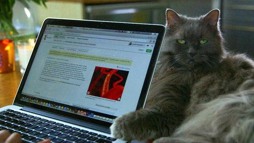 Click Season 17 Episode 18 - 07/05/2016